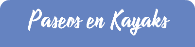 Paseos en Kayaks